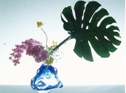 G037.jpg